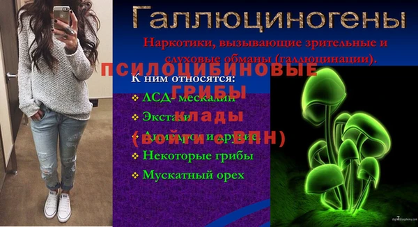 амф Белокуриха