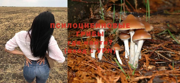spice Струнино